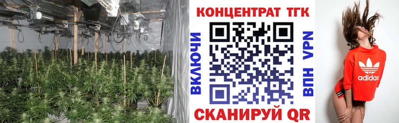 Купить где  Верхнеуральск  Дистиллят ТГК концентрат 