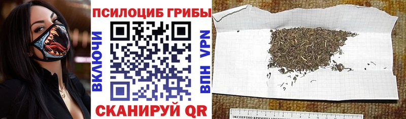 Купить где  Верхнеуральск  Галлюциногенные грибы мухоморы 